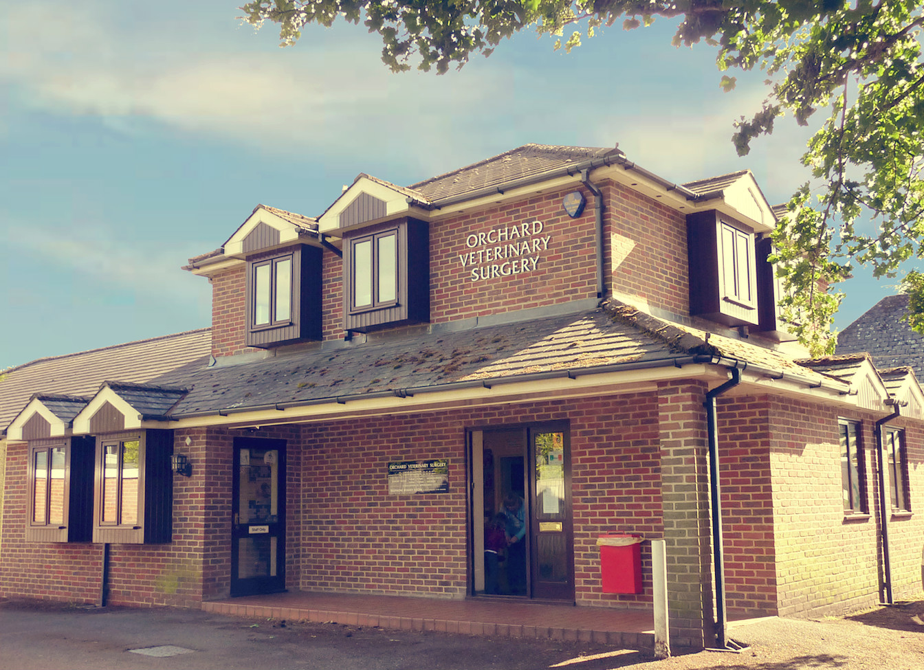 Orchard Veterinary Surgery - Romsey , United Kingdom