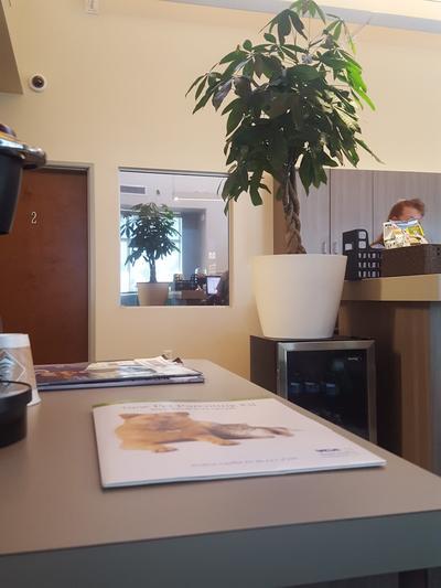 Business's Photo