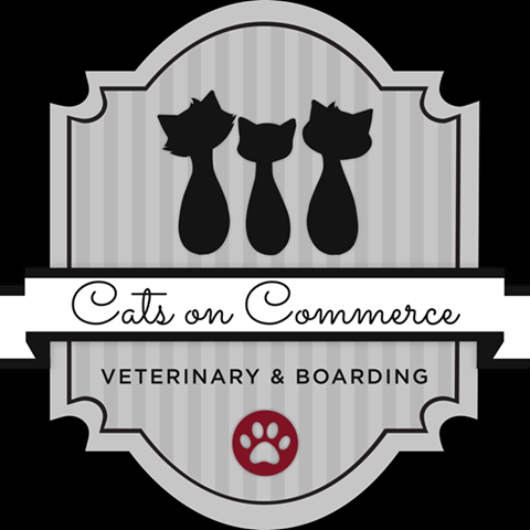 The Cats On Commerce - Clarksville , United States