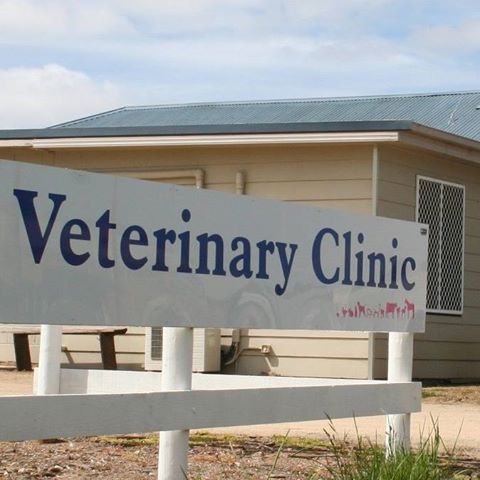 Young Veterinary Clinic - Young , Australia