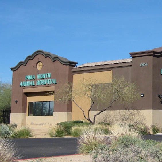 Pima North Animal Hospital - Scottsdale , United States