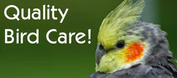 The Visiting Veterinarian - Edmond , United States