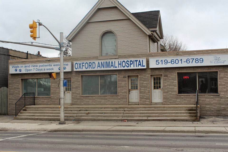 Oxford Animal Hospital - London , Canada