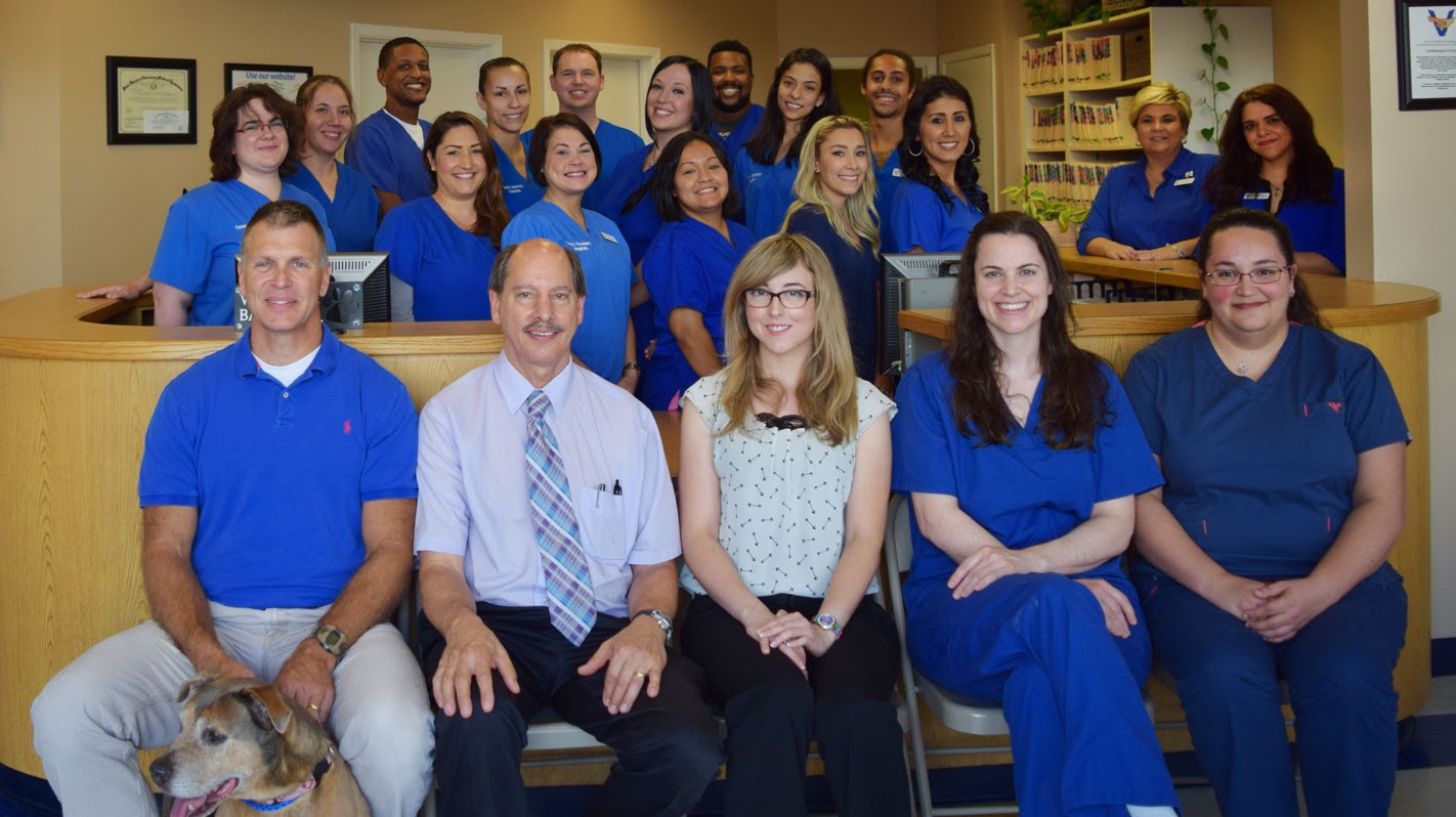 Texas Veterinary Hospitals - San Antonio , United States