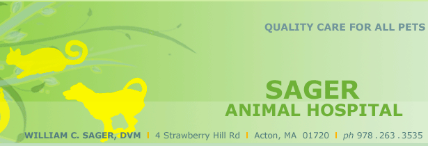 Sager Animal Hospital - Acton , United States