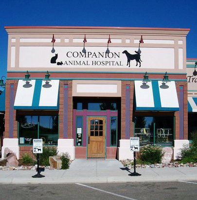 St Michaels Companion Animal Hospital - Greeley , United States