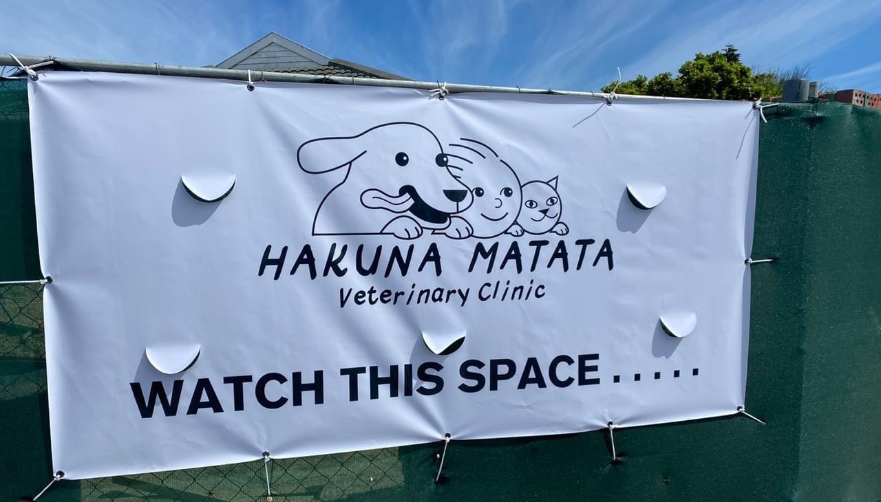 Hakuna Matata Veterinary Clinic - Cape Town , South Africa