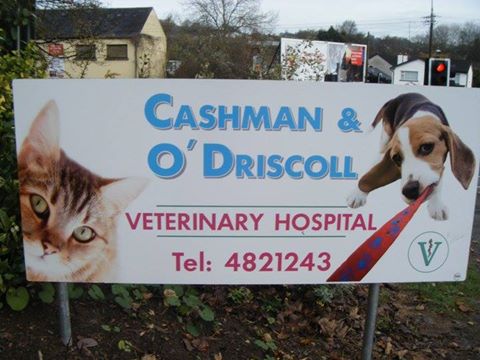 Cashman Veterinary Hospital - Cork , Ireland
