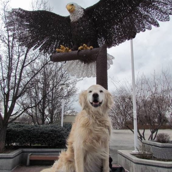Eagle Veterinary Hospital - Eagle , United States