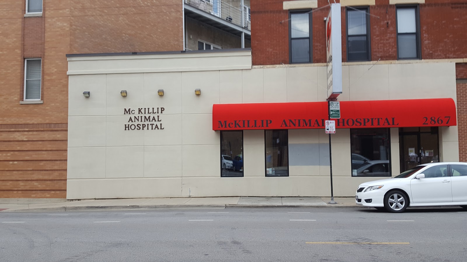 Mckillip Animal Hospital - Chicago , United States