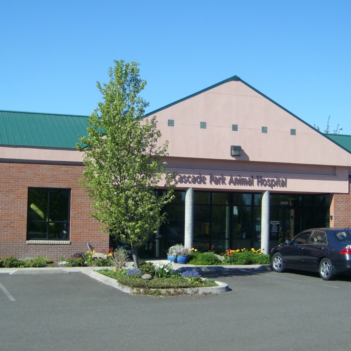 Cascade Park Animal Hospital - Vancouver , United States