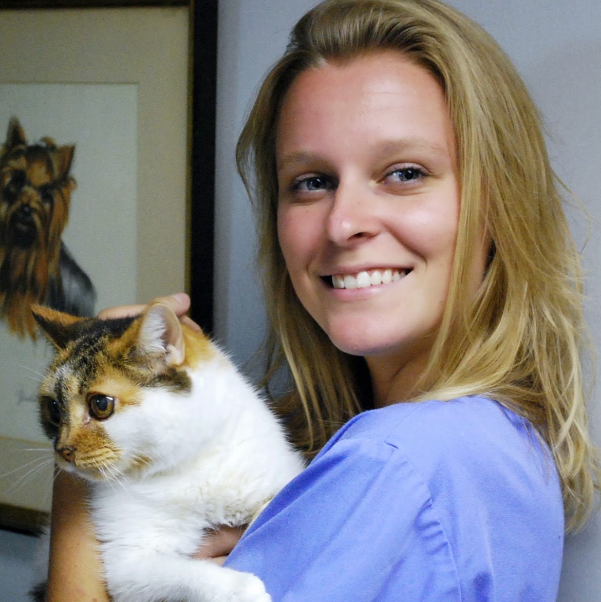 Hilton Hospital For Animals - Lynbrook , United States