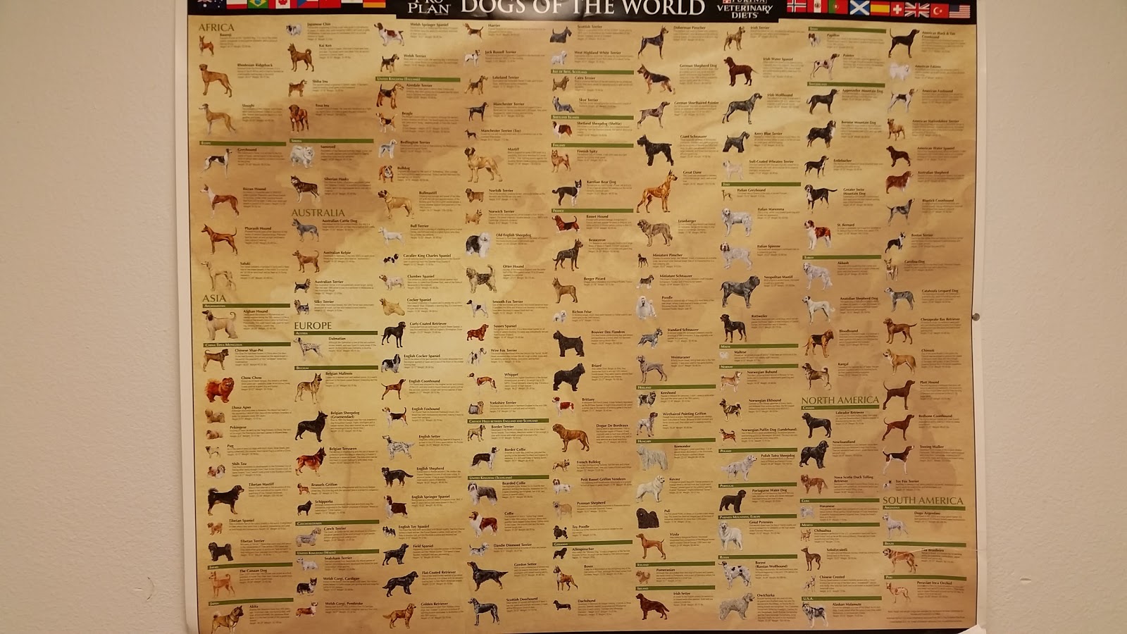 Southern Kern Veterinary Clinic - Rosamond , United States