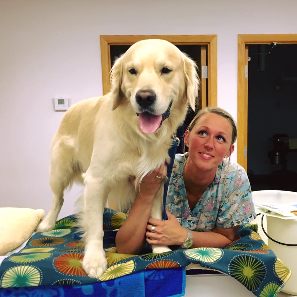 Stark Animal Hospital - Canton , United States