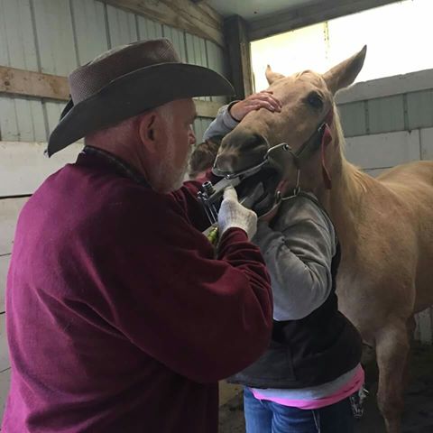 Mc Nutt Equine Veterinary - Iowa City , United States