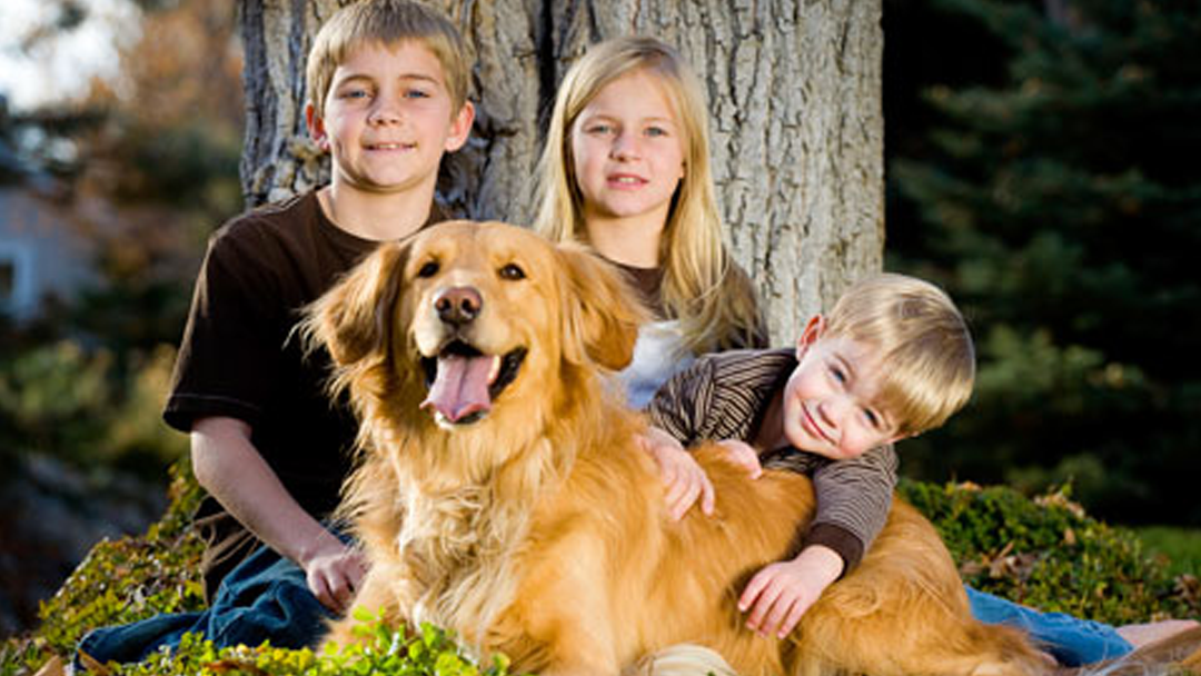 Eskridge Veterinary Clinic - Cañon City , United States