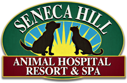 Georgetown Pike Veterinary Clinic - Great Falls , United States