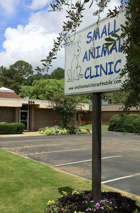 The Small Animal Clinic - Mobile , United States