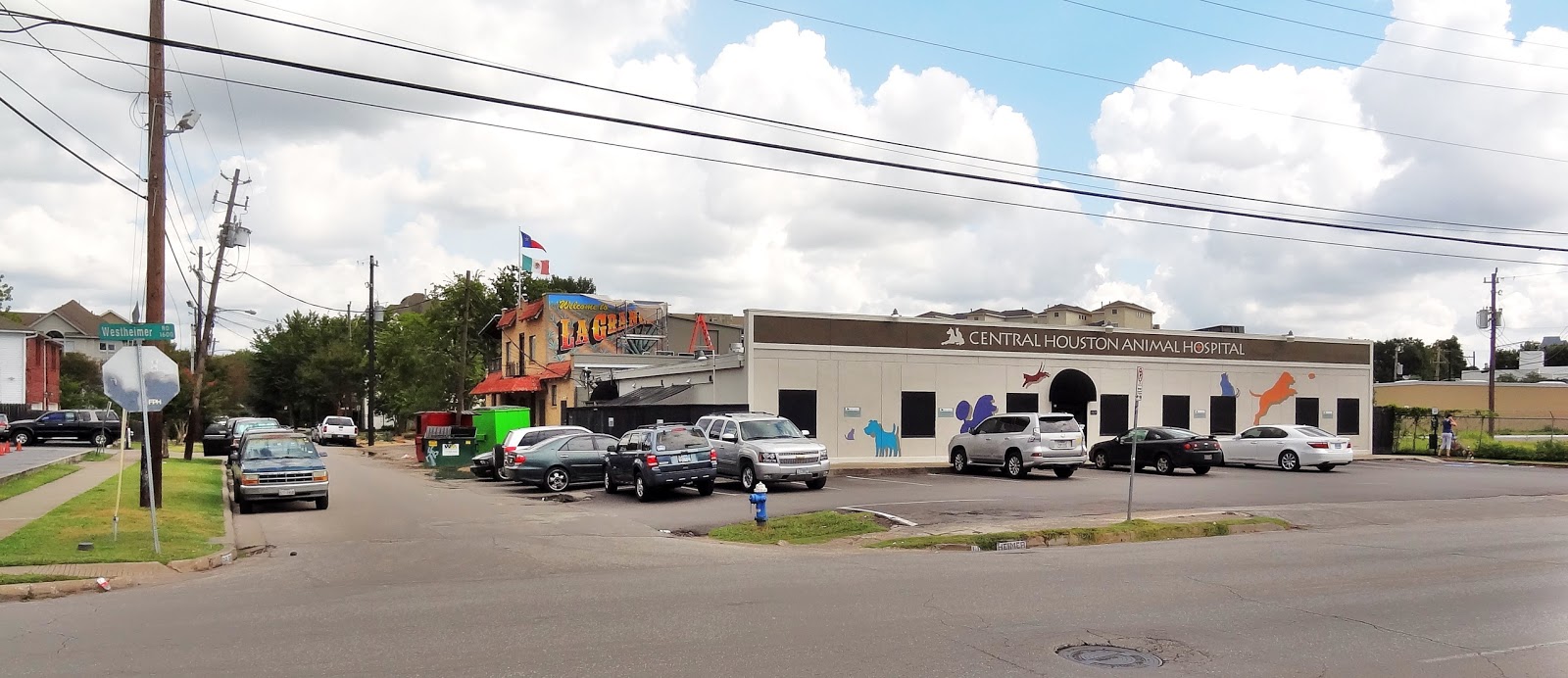 Central Houston Animal Hospital - Houston , United States