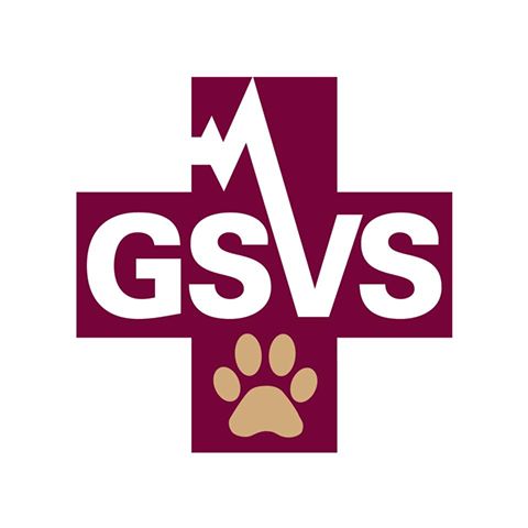 Garden State Veterinary Specialists Eatontown - Eatontown , United States