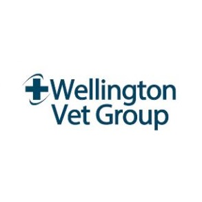 Animates Vetcare Clinic Miramar - Miramar , New Zealand