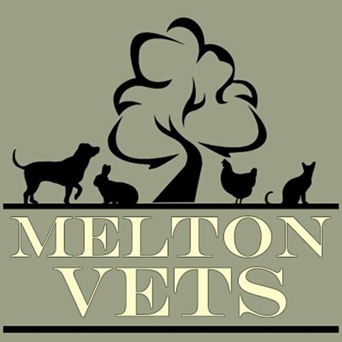 Melton Vets - Melton Mowbray , United Kingdom