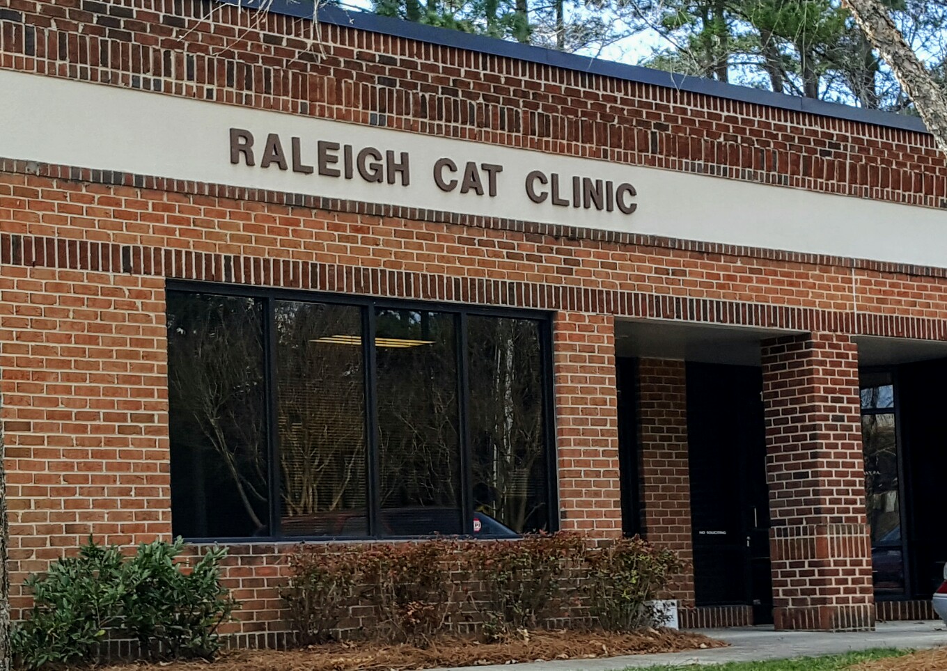 Raleigh Cat Clinic - Raleigh , United States