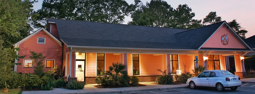 Bees Ferry Veterinary Hospital - Charleston , United States
