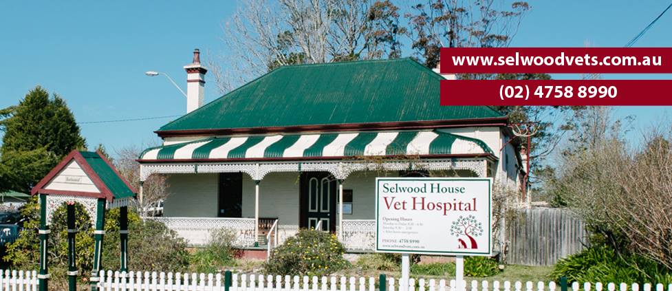 Selwood House Vet Hospital - Hazelbrook , Australia