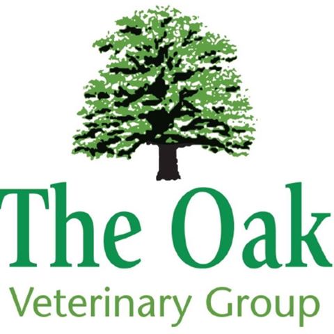 The Oak Veterinary Group Fishguard - Fishguard , United Kingdom