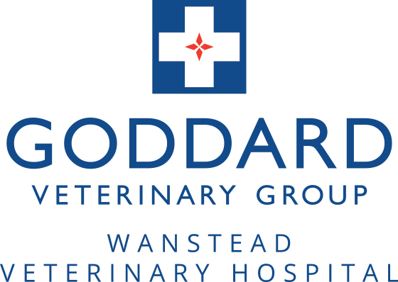 Goddard Veterinary Group Wanstead Veterinary Hospital - London , United Kingdom
