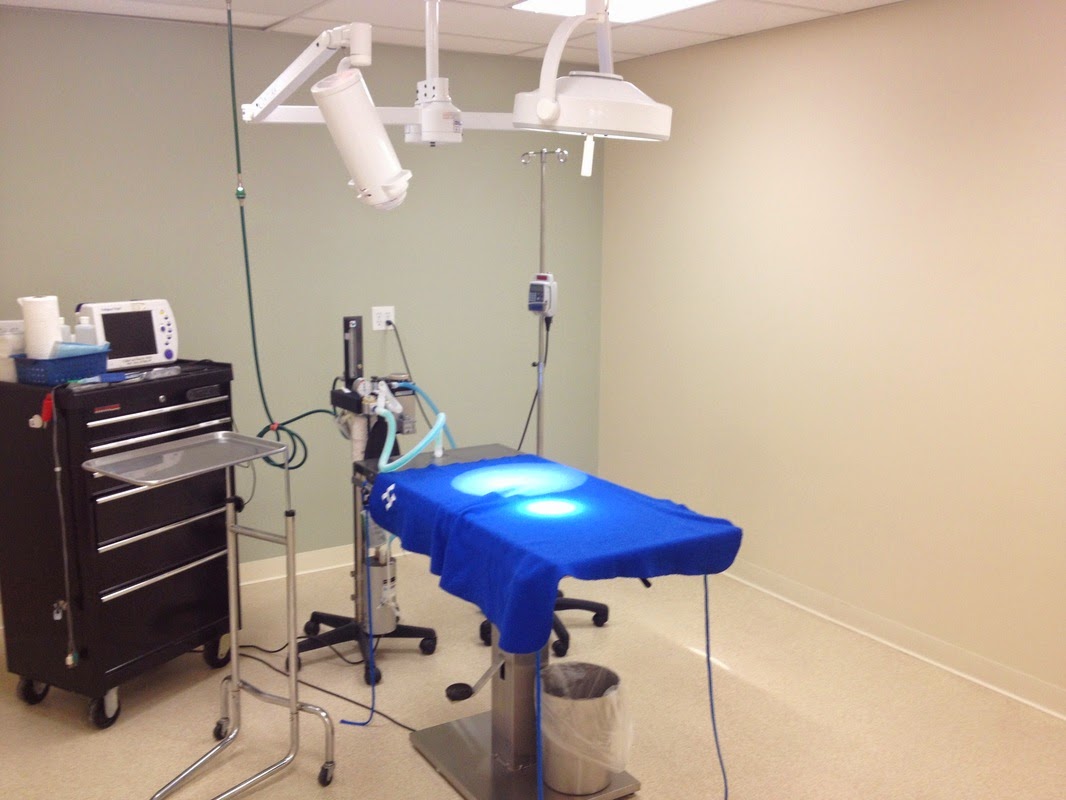 Harbor Animal Hospital - Warren , United States