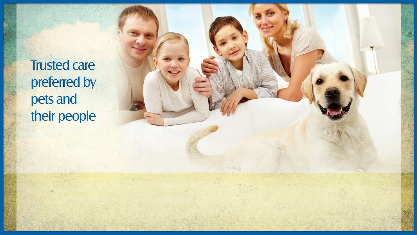 All Creatures Veterinary Services - Arlington , United States