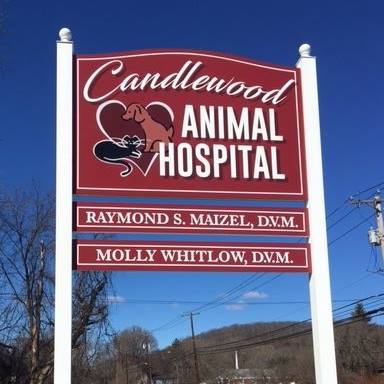 Candlewood Animal Hospital - New Milford , United States