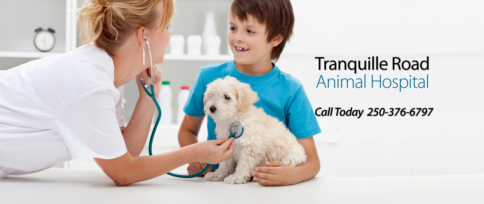Tranquille Road Animal Hospital - Kamloops , Canada