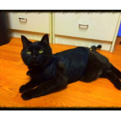Marila Veterinary Clinic - Cross Plains , United States