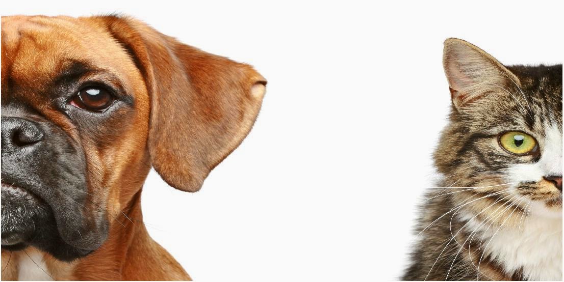 Vca Canada Frontier Animal Hospital - Saskatoon , Canada