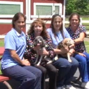 Hamburg Veterinary Clinic - Hamburg , United States