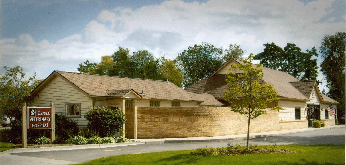 Oxford Veterinary Hospital - Oxford , United States