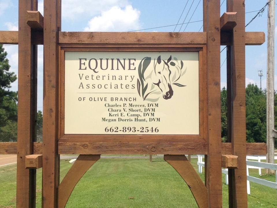Equine Veterinary Associates Of Olive Branch - Olive Branch , United States