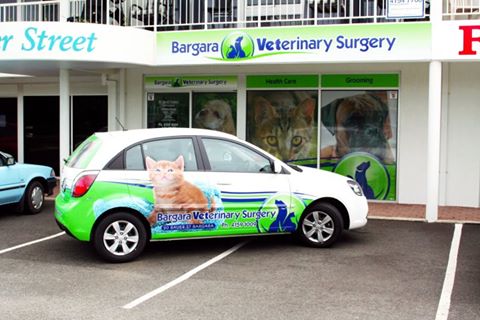 Bargara Veterinary Surgery - Bargara , Australia