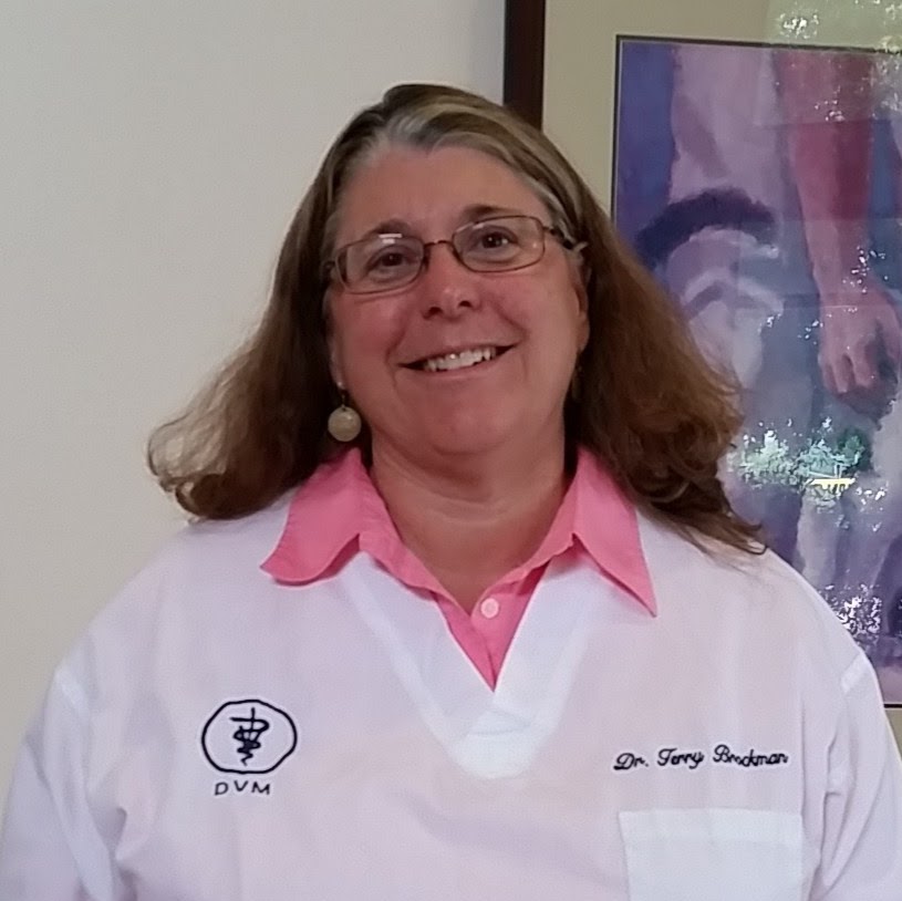 Richland Animal Clinic - Nashville , United States