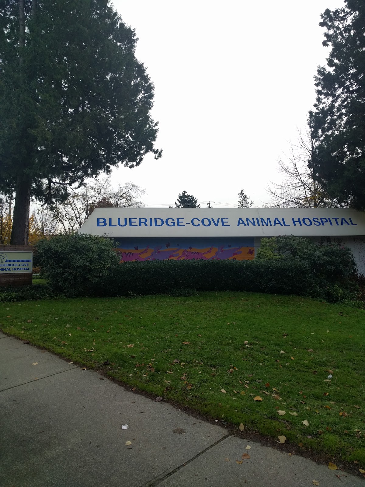 Blueridge-Cove Animal Hospital - Vancouver , Canada