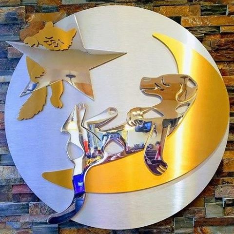 Dreaming Summit Animal Hospital - Litchfield Park , United States