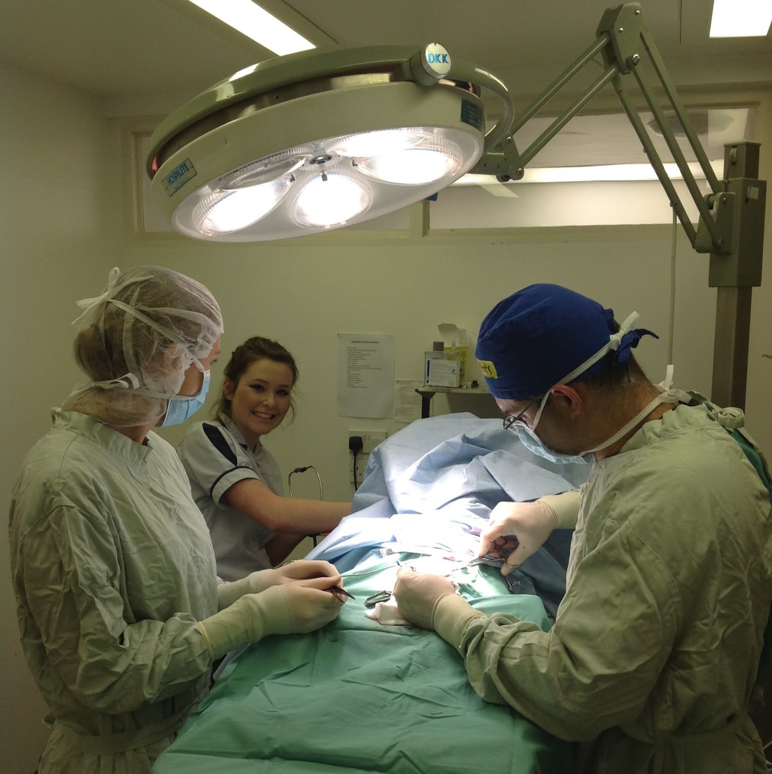 Lida Vets In Newmarket - Newmarket , United Kingdom