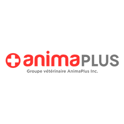 Hôpital Vétérinaire Anima Plus Laurier - Montreal , Canada