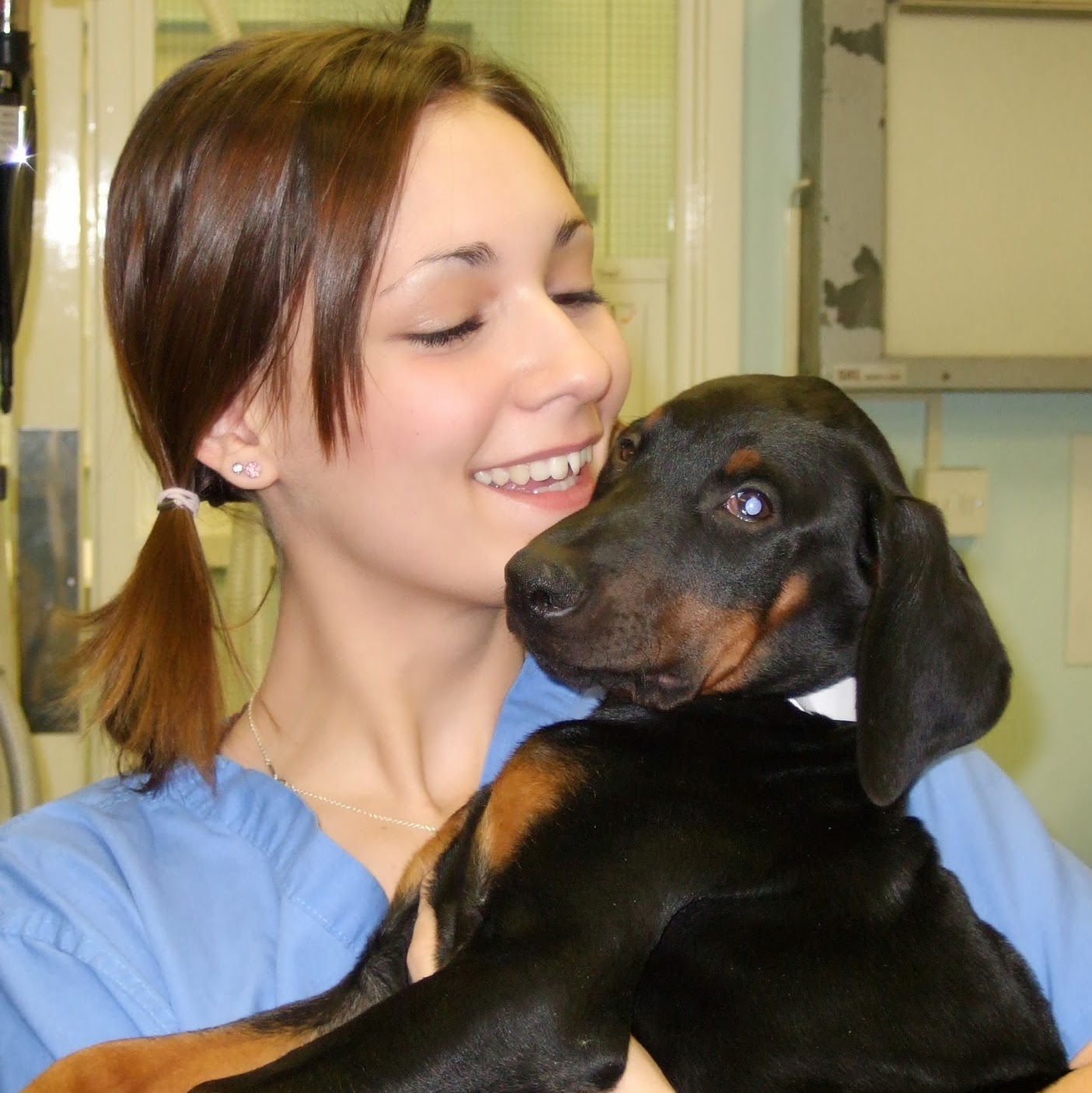 Barrow Hill Veterinary Centre - Ashford , United Kingdom