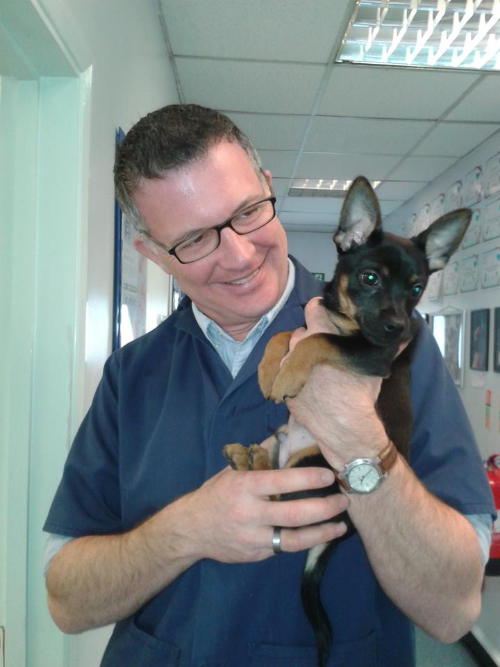 Medivet Borehamwood - Borehamwood , United Kingdom