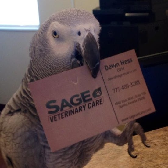 Sage Veterinary Care - Sparks , United States