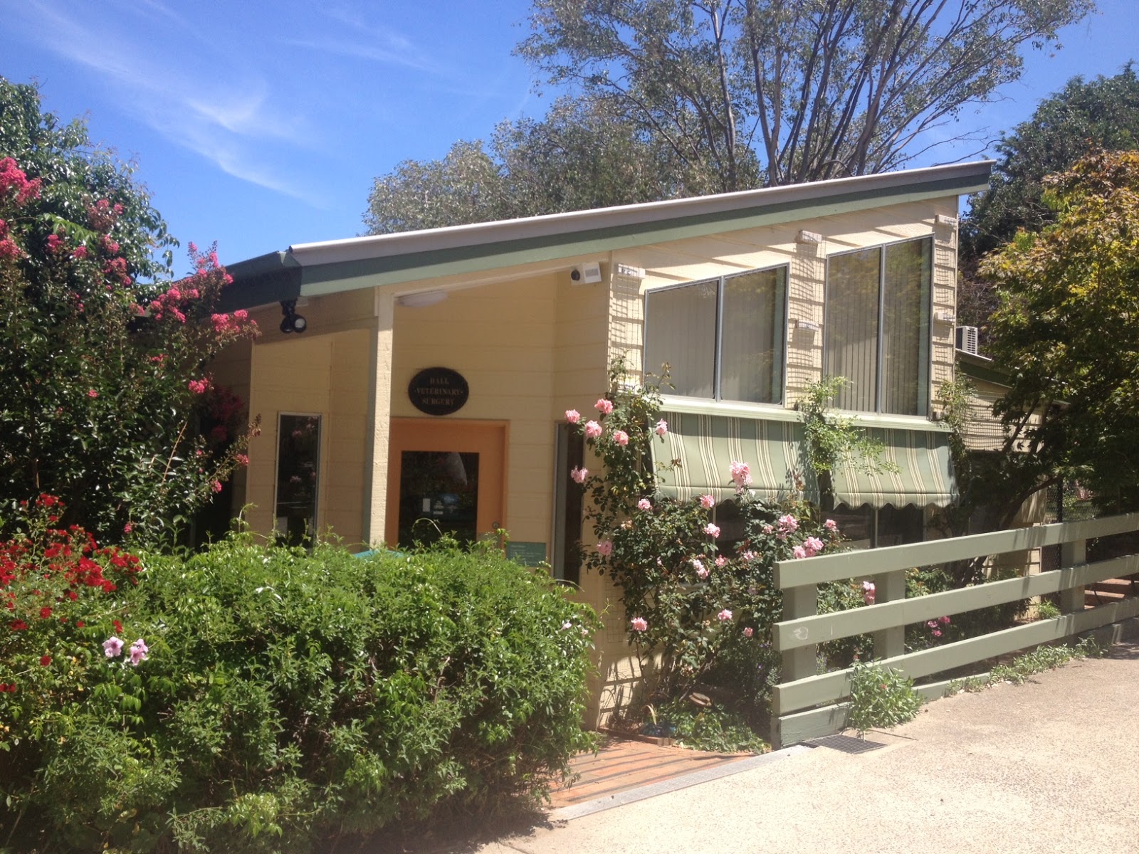 Hall Veterinary Surgery - Hall , Australia